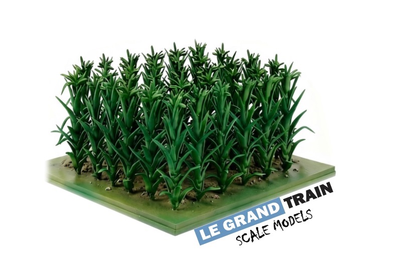 casting le grand train